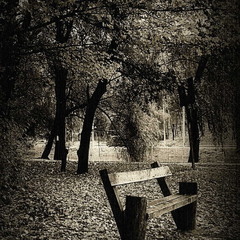 Одинокая скамейка