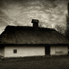 House under a thatched roof