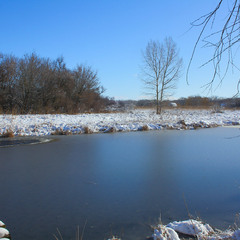 Льодком тоненьким скована, спинилася ріка.