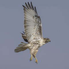 Глаза в глаза