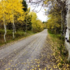 Импрессионистская осень