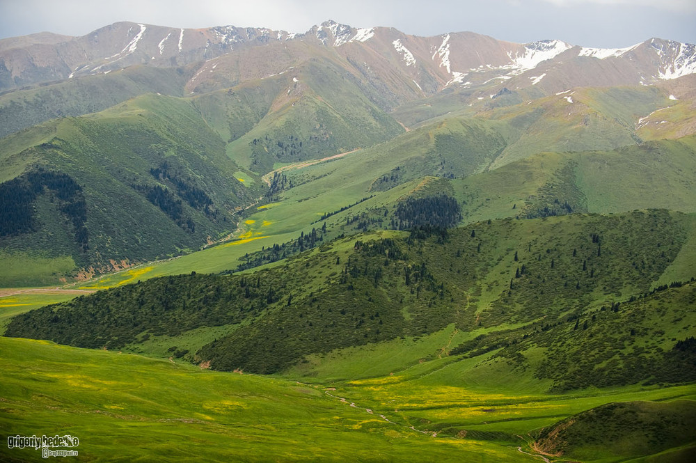 Тургенские горы