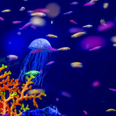 Аквариум или подводный мир