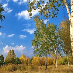 типично российский пейзаж