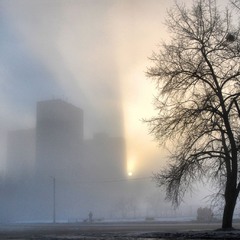 городской туман
