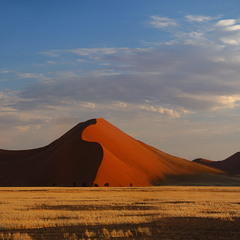 Lines of dunes