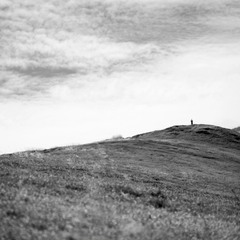 the stranger on a hill