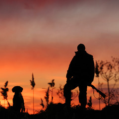 ... у собаки і його мисливця була стара традиція - зустрічати схід сонця разом ...