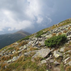 Чорногорский хребет