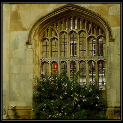 Window to Cambridge