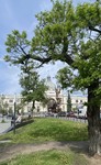 Сьоднішній ранок у місті Лева