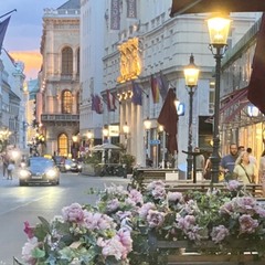 Вечірній Відень, 1