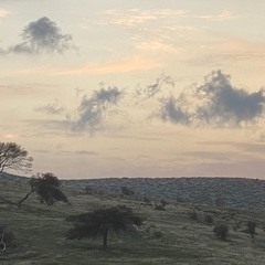 Безмовна пастель