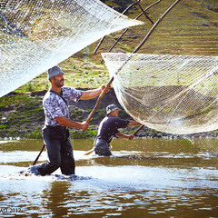 Особенности молдавской рыбалки