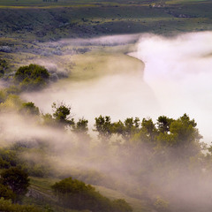 Туман стелиться вдоль реки