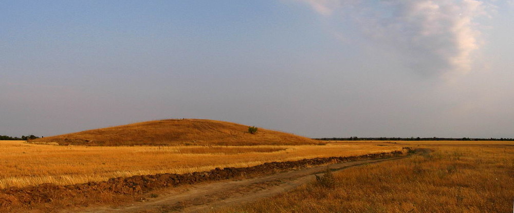 Курган поле