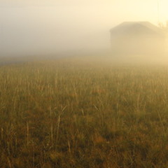 Дом на берегу тумана
