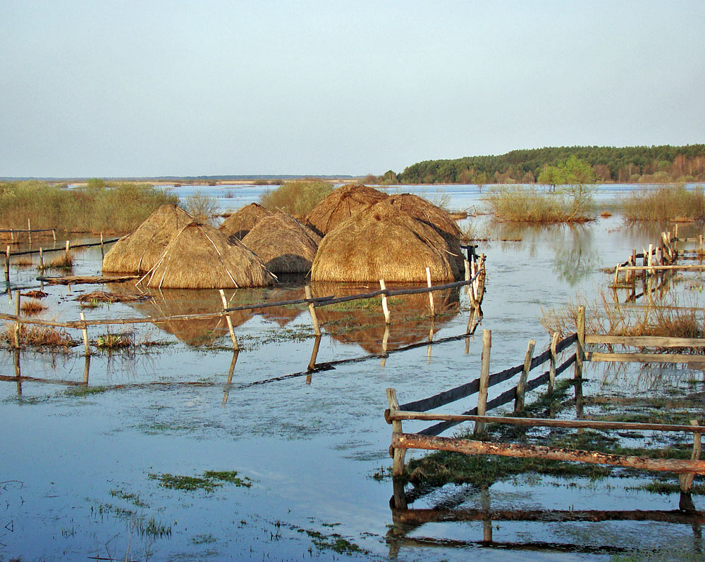 река ять. река припять петриков. озеро белорусское неман. долина реки припять. ять река.