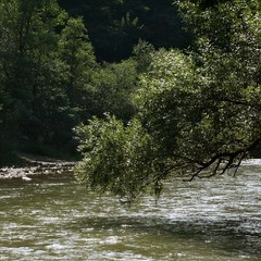 Над Чорною Тисою