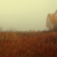 Осінь в тумані (панорама)
