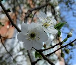 Нарешті весна!