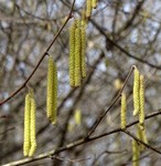 Весняний день