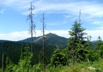 Далеко в горах