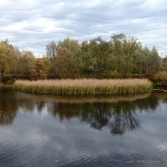 Осіннє озеро