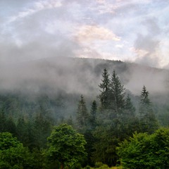 Дощі і тумани