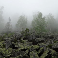 Каміння й туман