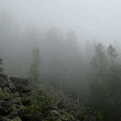 Каміння в тумані