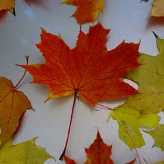 Трохи про осінь