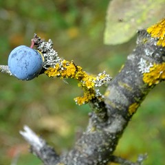 Трохи про осінь