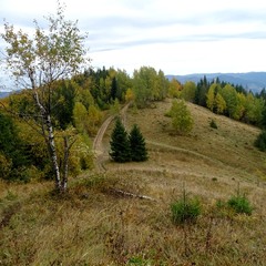 Осіння дорога