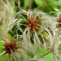 Рання осінь