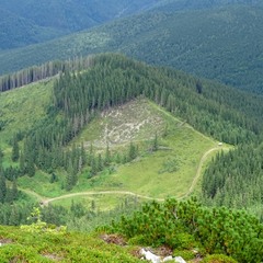 Погляд вниз