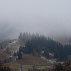 Зимовий туман