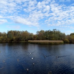 Казка про лебедине озеро