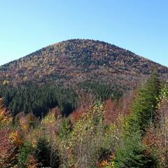 Самотня гора і осінь