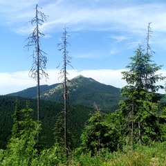 Далеко в горах