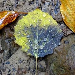 Осінній дощ в горах