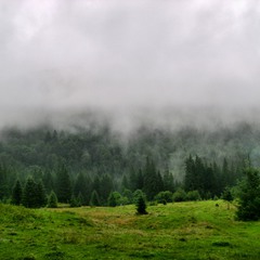 Тумани в горах