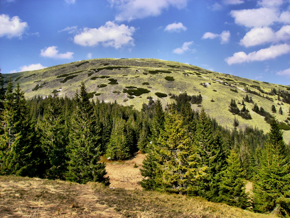 Лиса гора. Лиса в горах. Лисий гори.