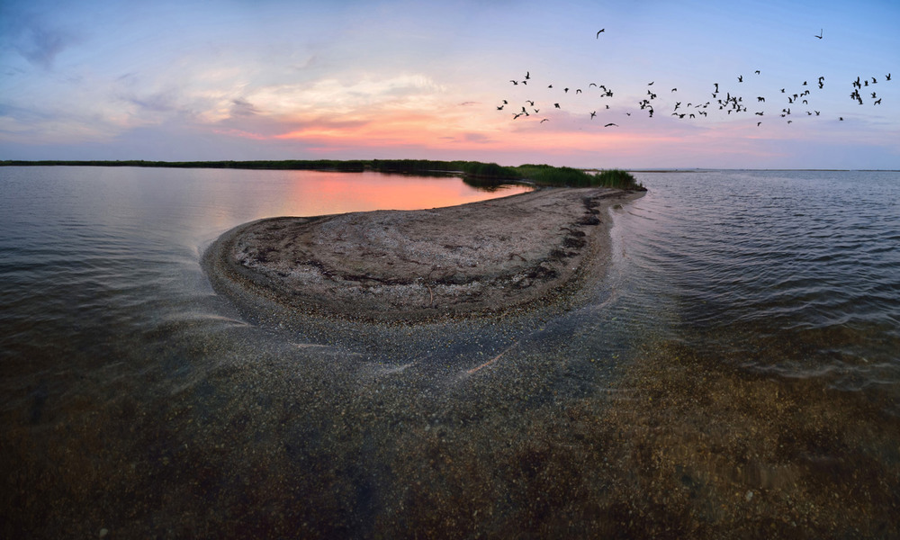 Бердянская коса фото