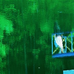 зелёное озеро