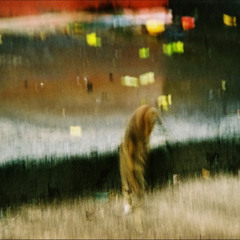 рыжая кошка, гуляющая дождливым днём