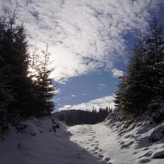 Karpathian winter