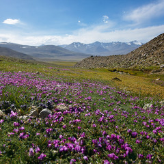Памирское лето