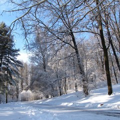Зимняя_2