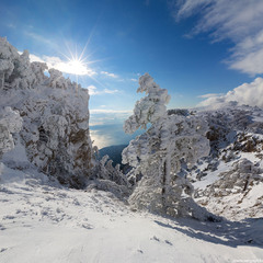 Зима на плато Ай-Петри